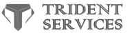 Trident Finserv